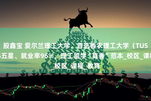 股鑫宝 爱尔兰理工大学，首选香农理工大学（TUS）：QS五星、就业率96%，理工留学“真香”范本_校区_课程_教育