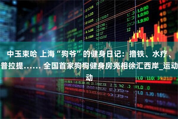 中玉束哈 上海“狗爷”的健身日记：撸铁、水疗、普拉提…… 全国首家狗狗健身房亮相徐汇西岸_运动